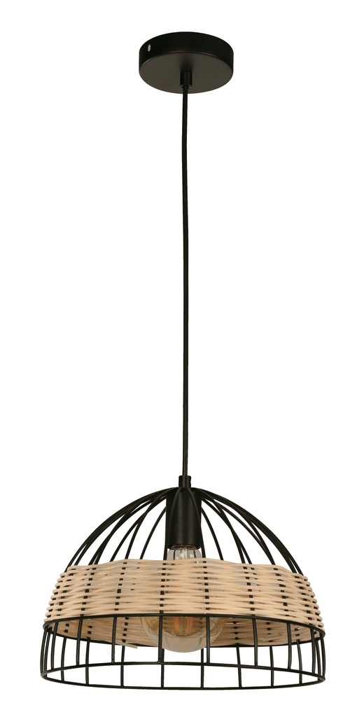 23927-2 1L HANGING LAMP MATT BLACK E27 40W